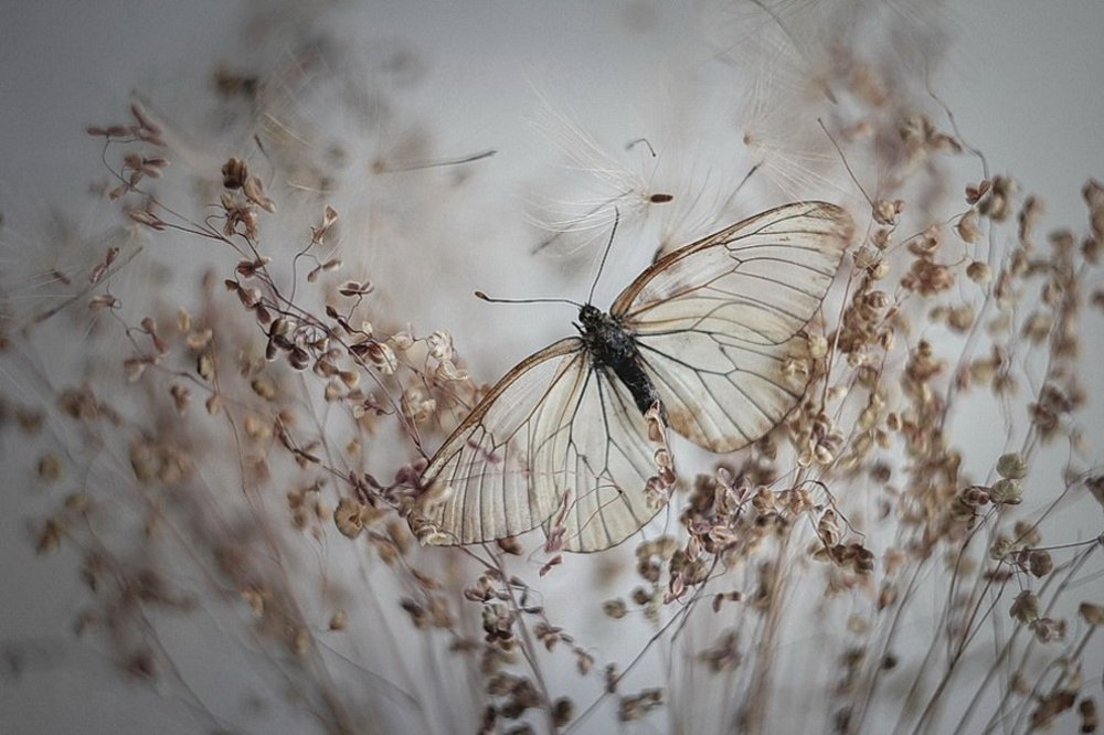 Photograph by Svoboda Andreeva