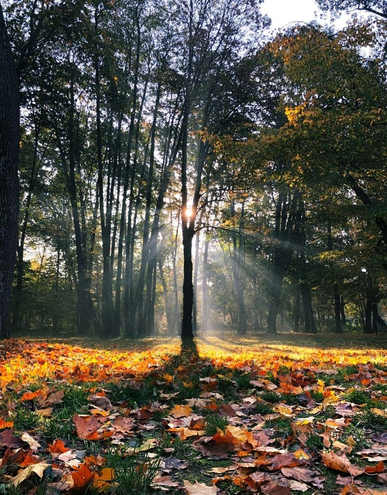 Photograph by Анатолий Андреев