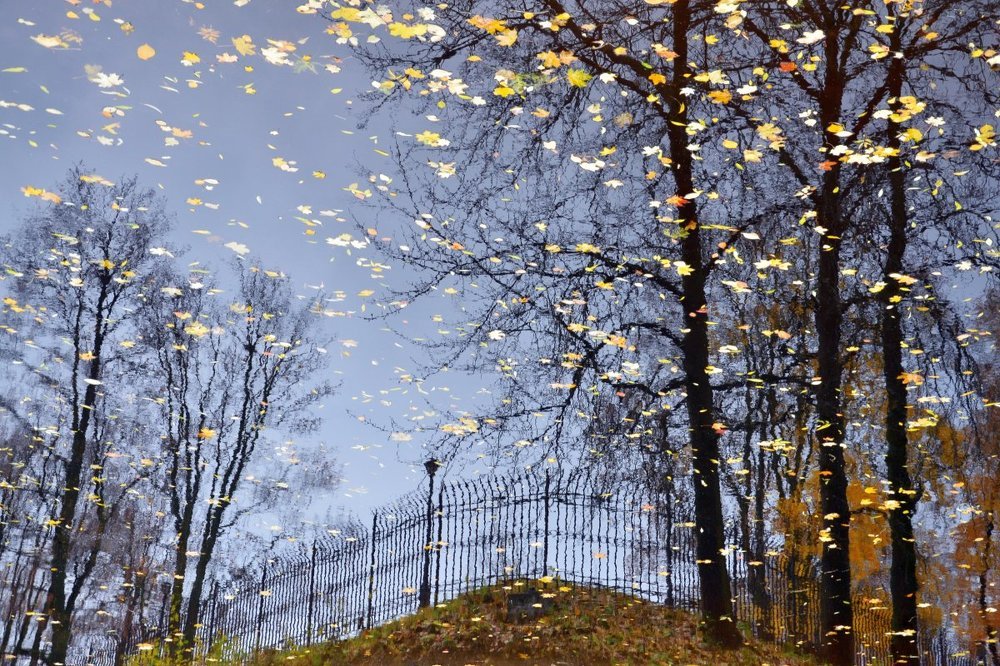 Photograph by Николай Кувшинов