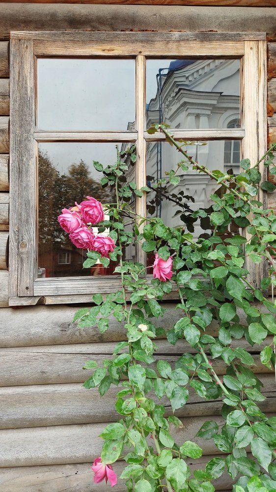 Photograph by ЭЛЬМИРА  ИСМАИЛОВА