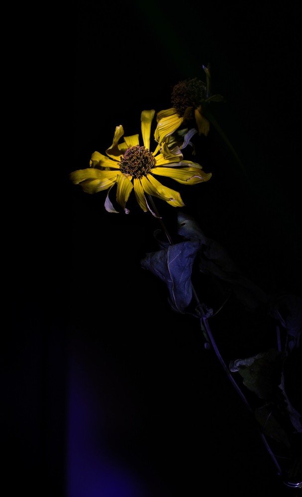 Photograph by Tomasz Bandosz