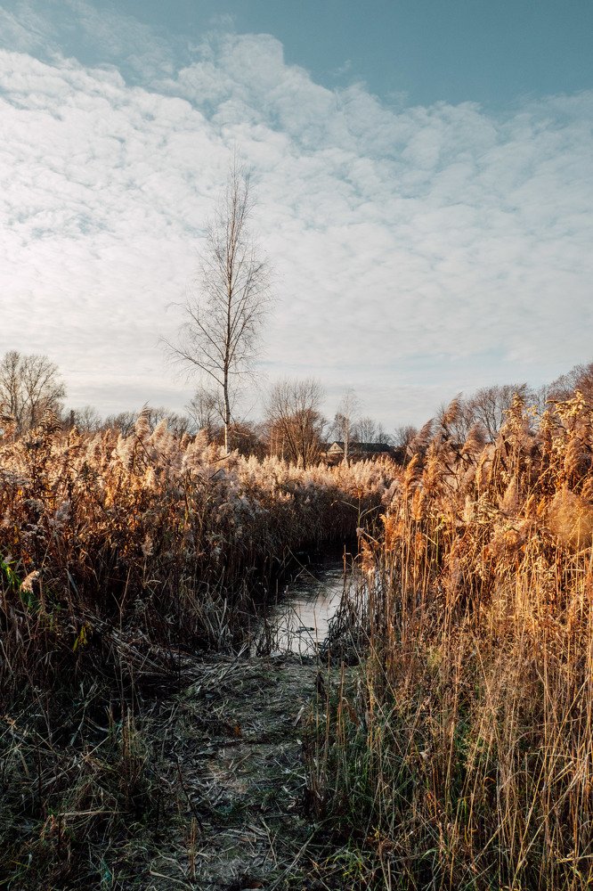 Photograph by Екатерина Аксёнова