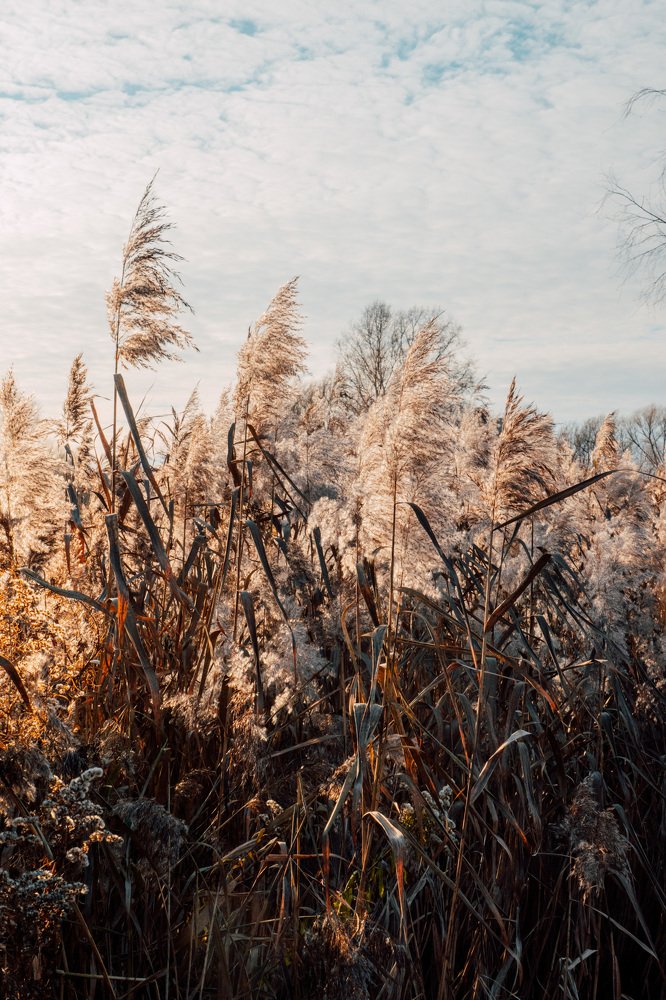 Photograph by Екатерина Аксёнова