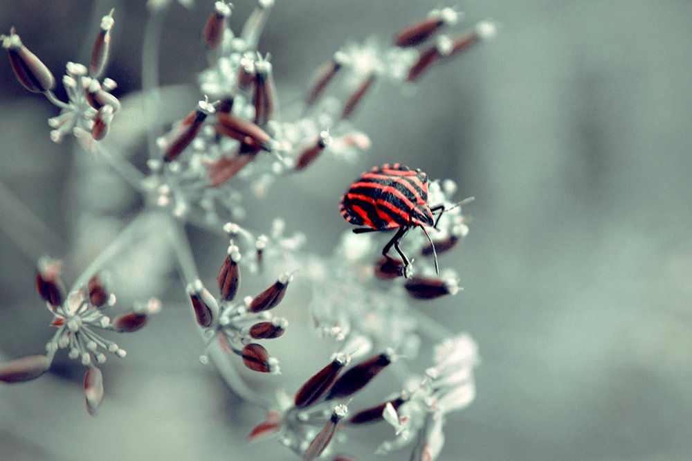 Photograph by Ольга Цветкова