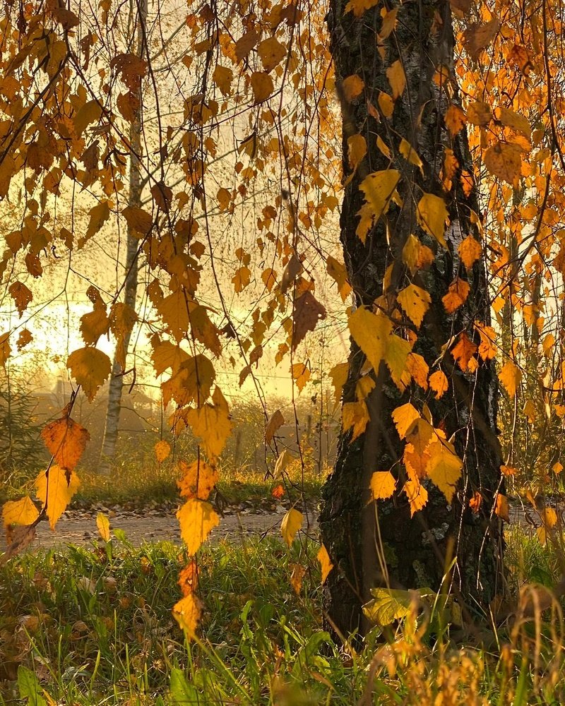 Photograph by Анатолий Андреев