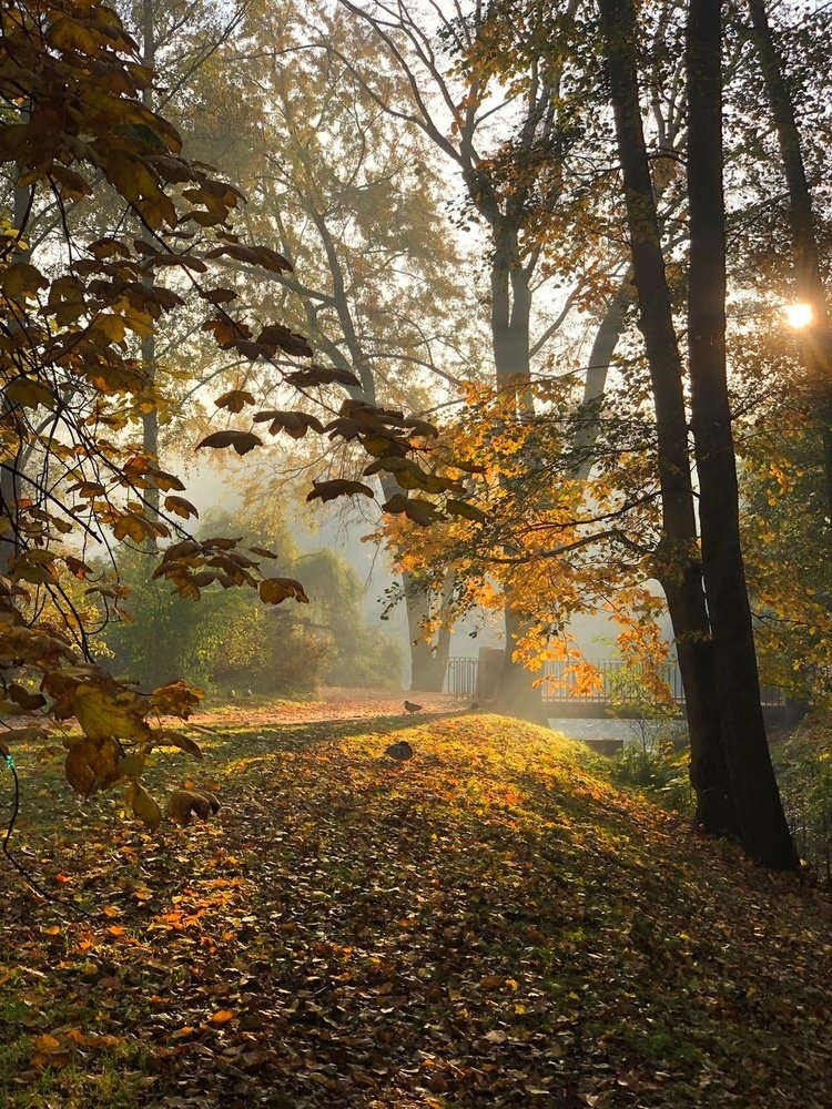 Photograph by Анатолий Андреев