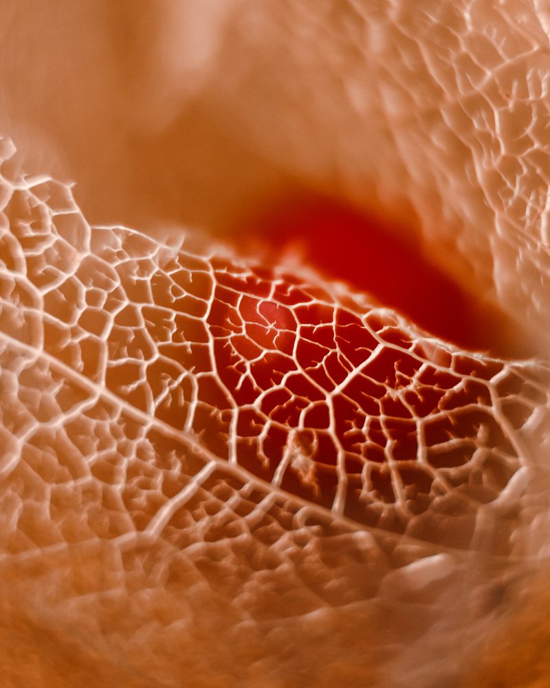 Photograph by Наталья Мальцева