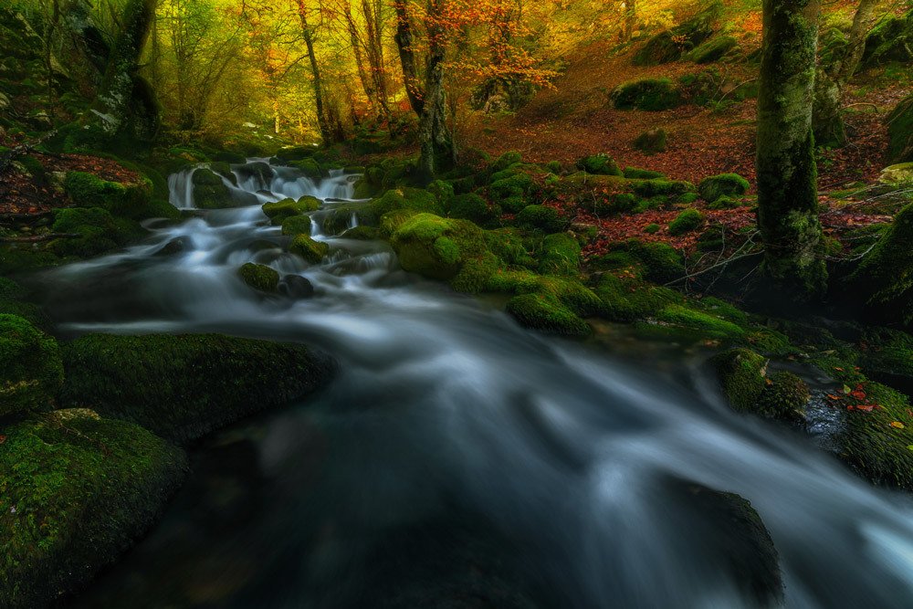 Photograph by carlos gonzalez