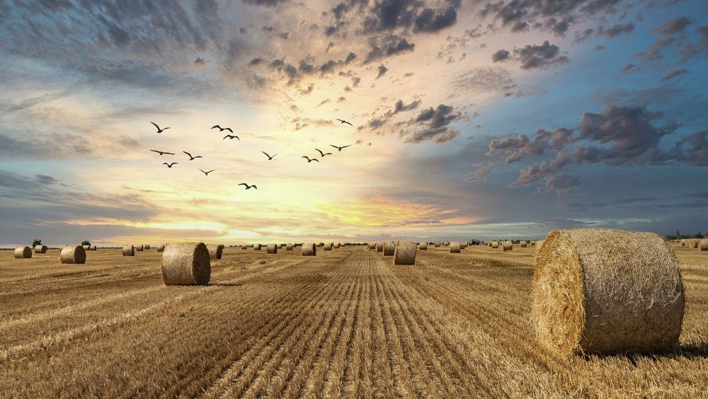 Фотография автора Igor Kovalenko