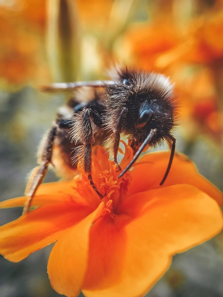 Photograph by Наталья Мальцева