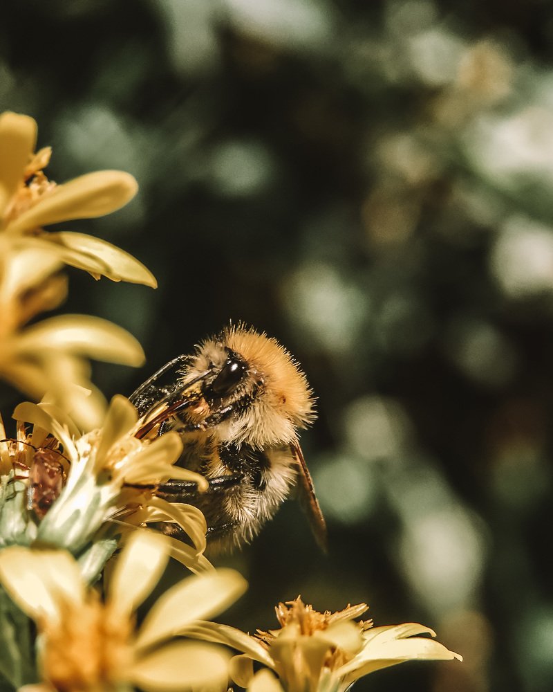 Photograph by Наталья Мальцева