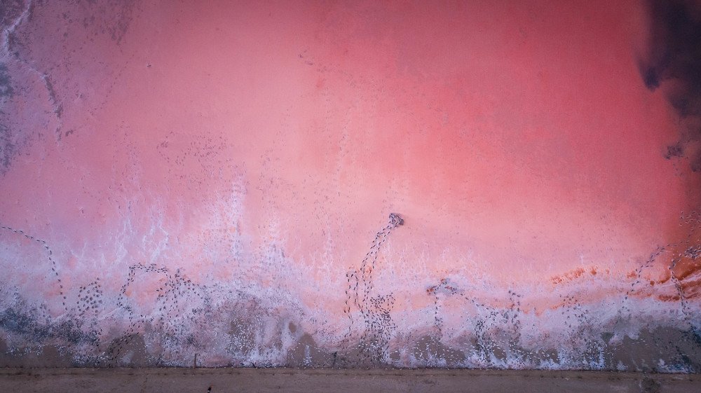 Photograph by Alena Berdinskikh