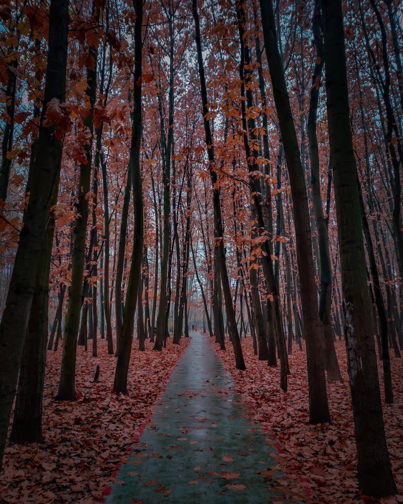 Photograph by Александр Тумко