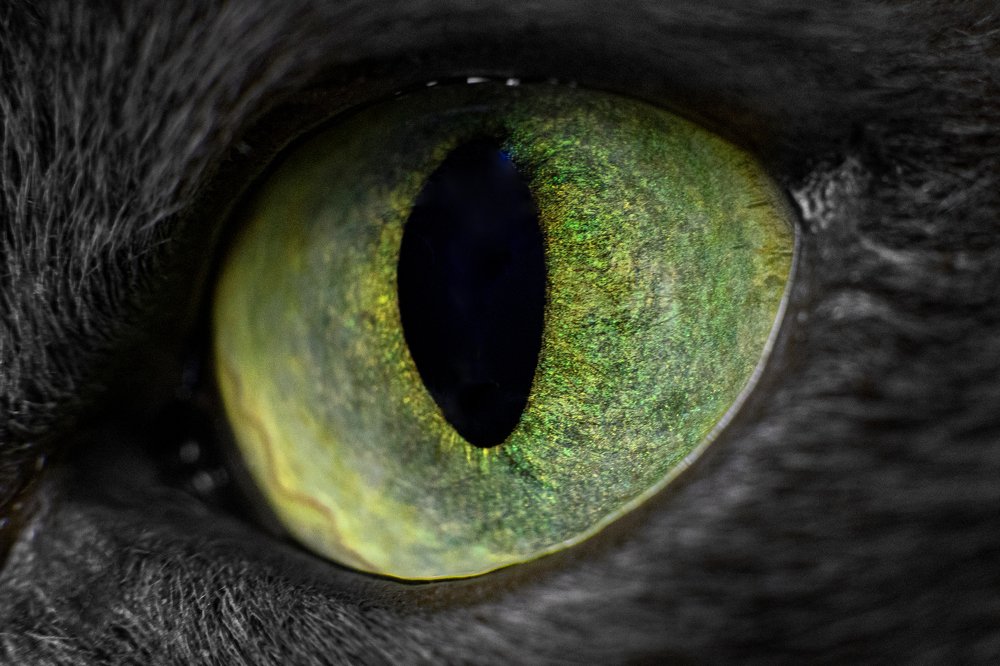 Photograph by Екатерина