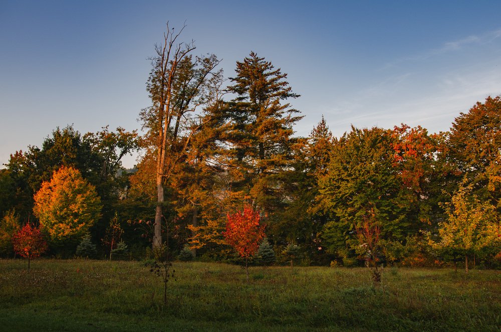 Photograph by Lubomir Lenko