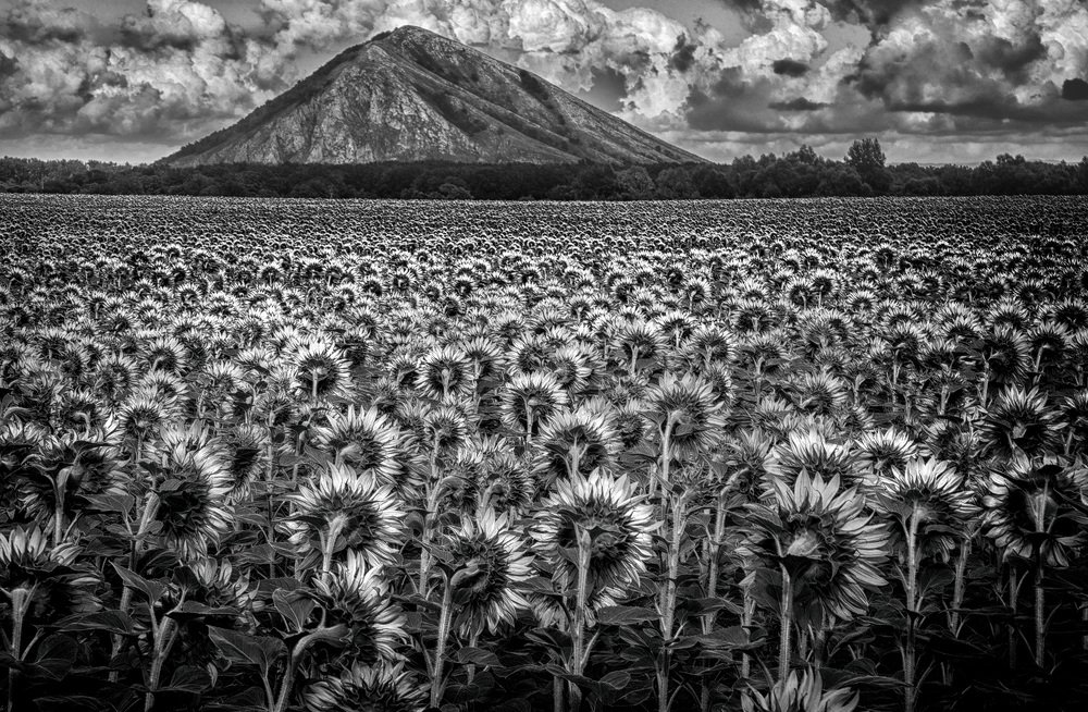 Photograph by Тамара Андреева