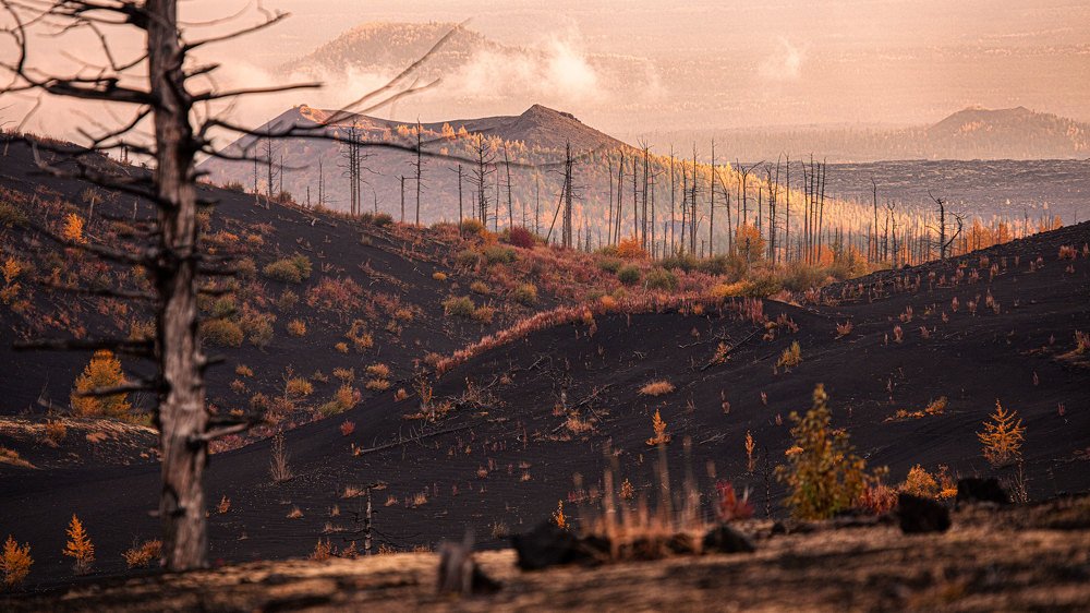 Photograph by Рустам Магомедов