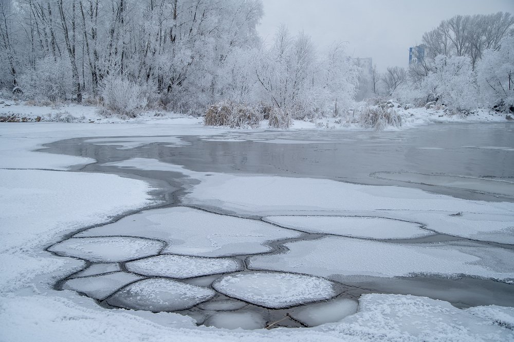 Photograph by Тамара Андреева