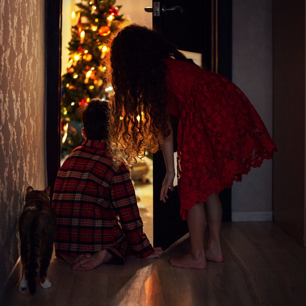 Photograph by Ксения Золотухина