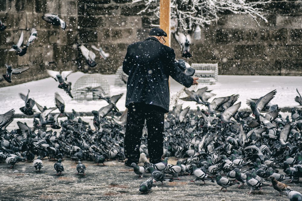 Photograph by DAMOUN POURNEMATI