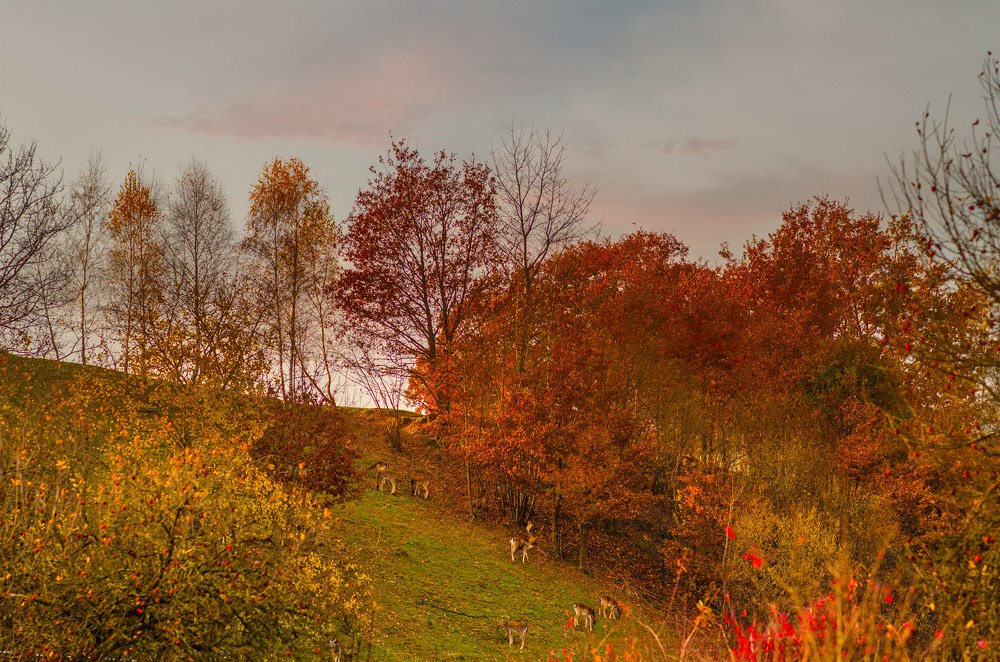 Photograph by Lubomir Lenko