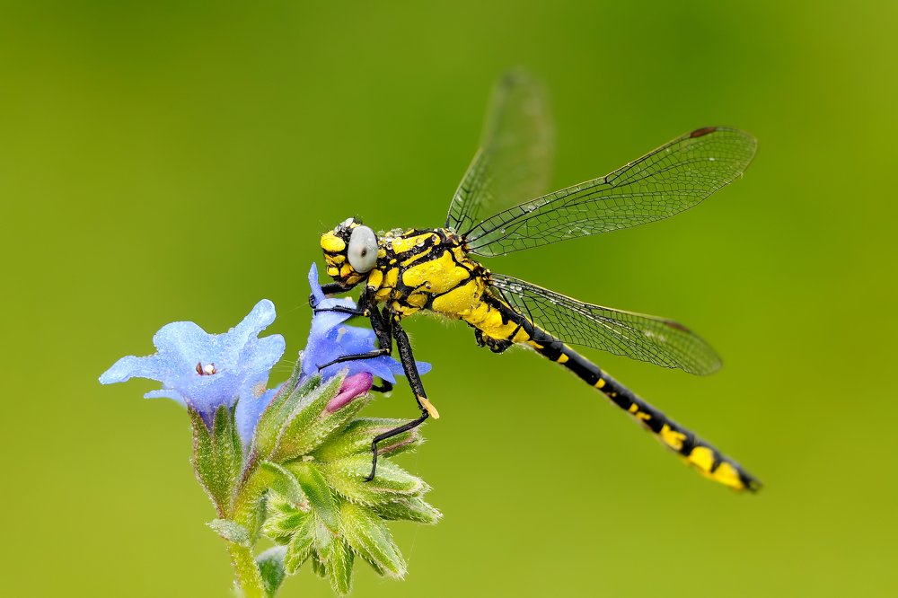 Фотография автора Ismail Ödüm