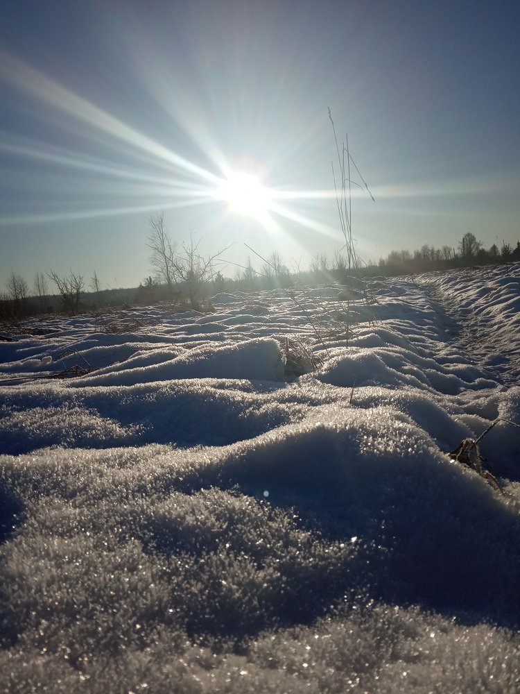 Photograph by Любовь Шаврина