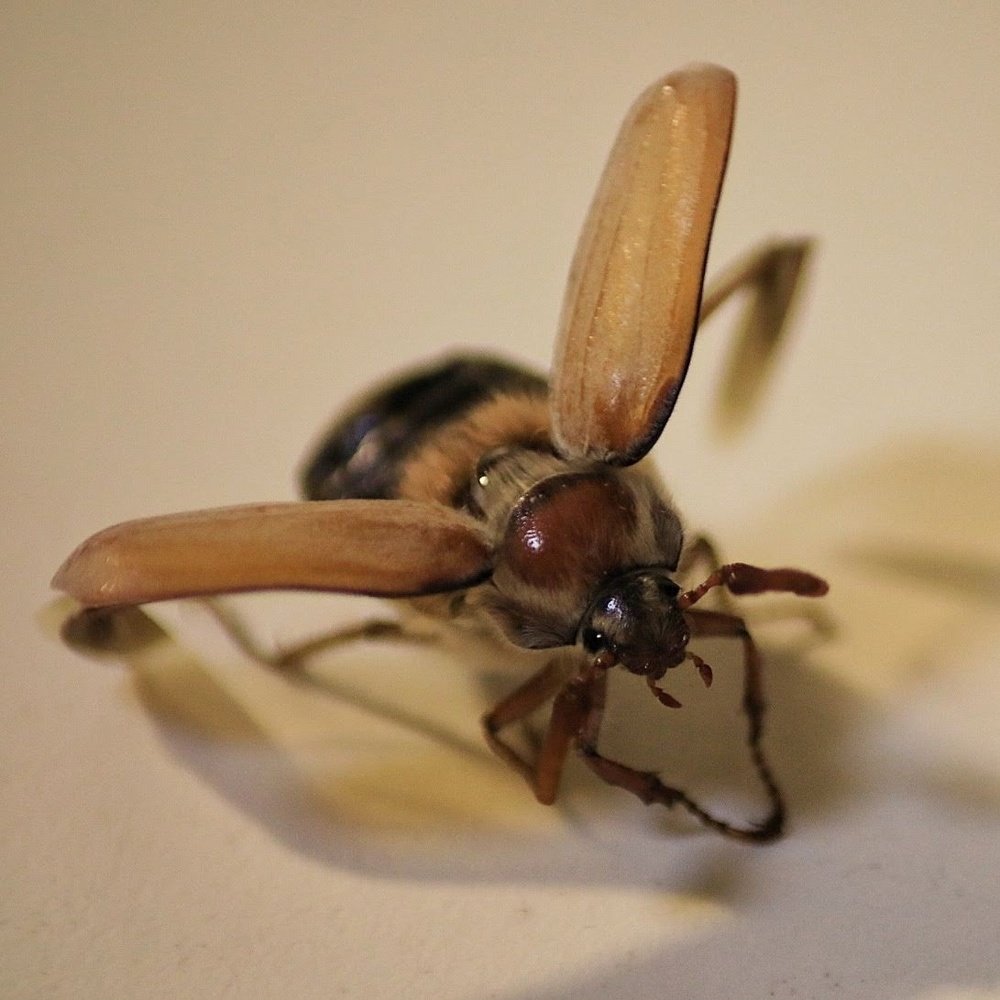 Photograph by Яна Романенкова