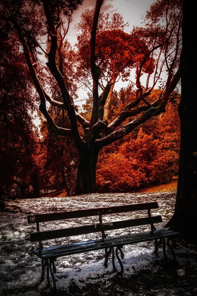 Photograph by Salvatore Palumbo