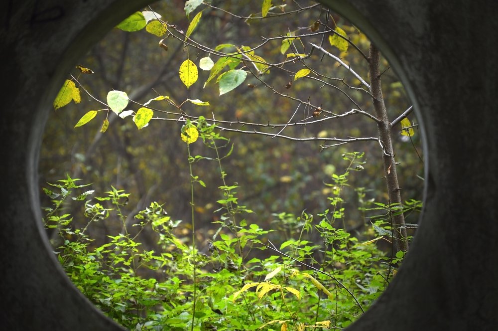 Photograph by Денис Ершов