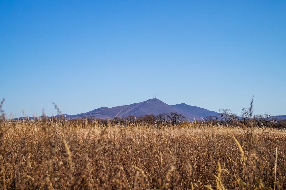 Photograph by Виктор Сёмушкин