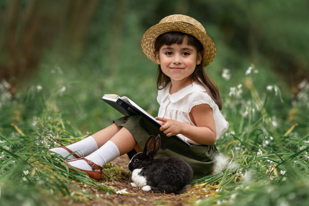 Bunnies in the forest