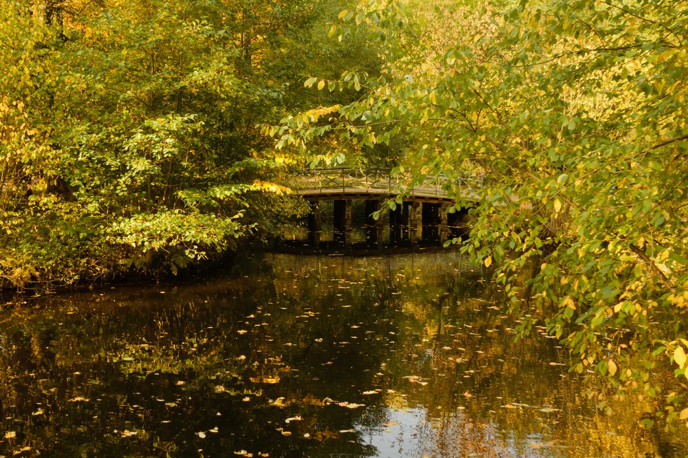 Photograph by Денис Карачёв