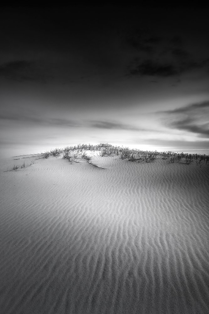 Photograph by Louise Richards