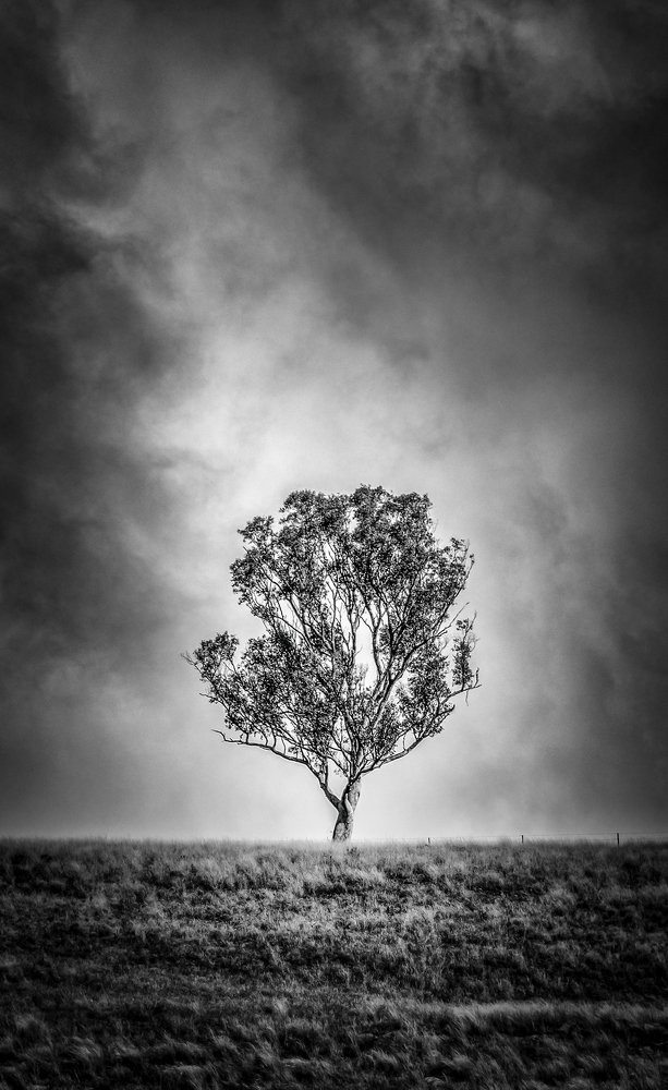 Photograph by Louise Richards