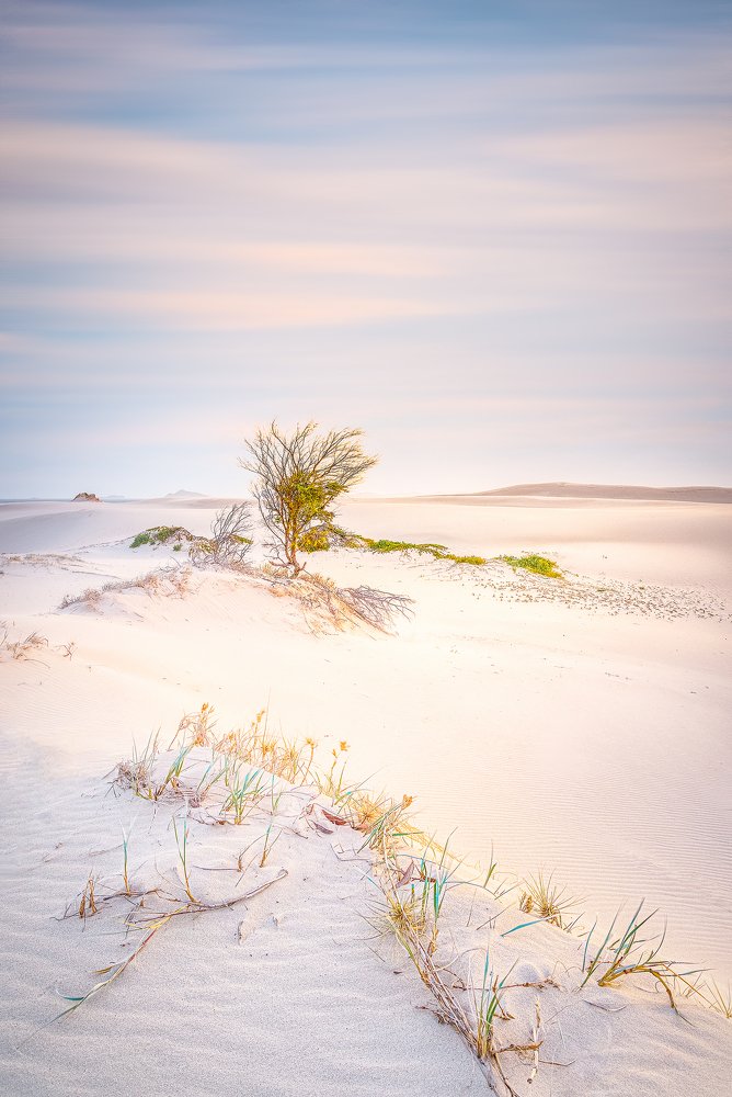 Photograph by Louise Richards