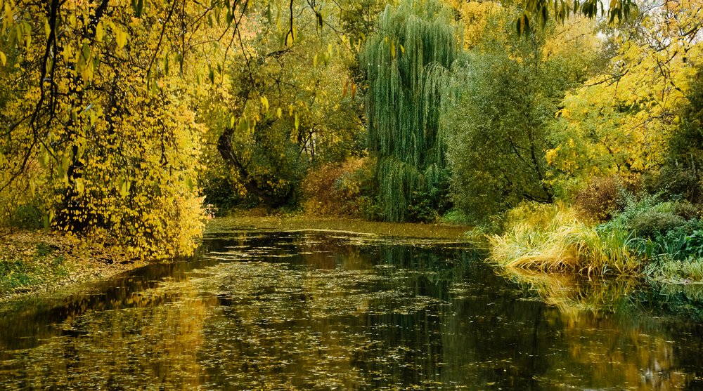 Photograph by Денис Карачёв