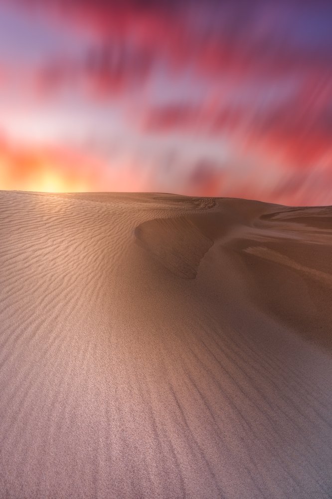 Photograph by Louise Richards