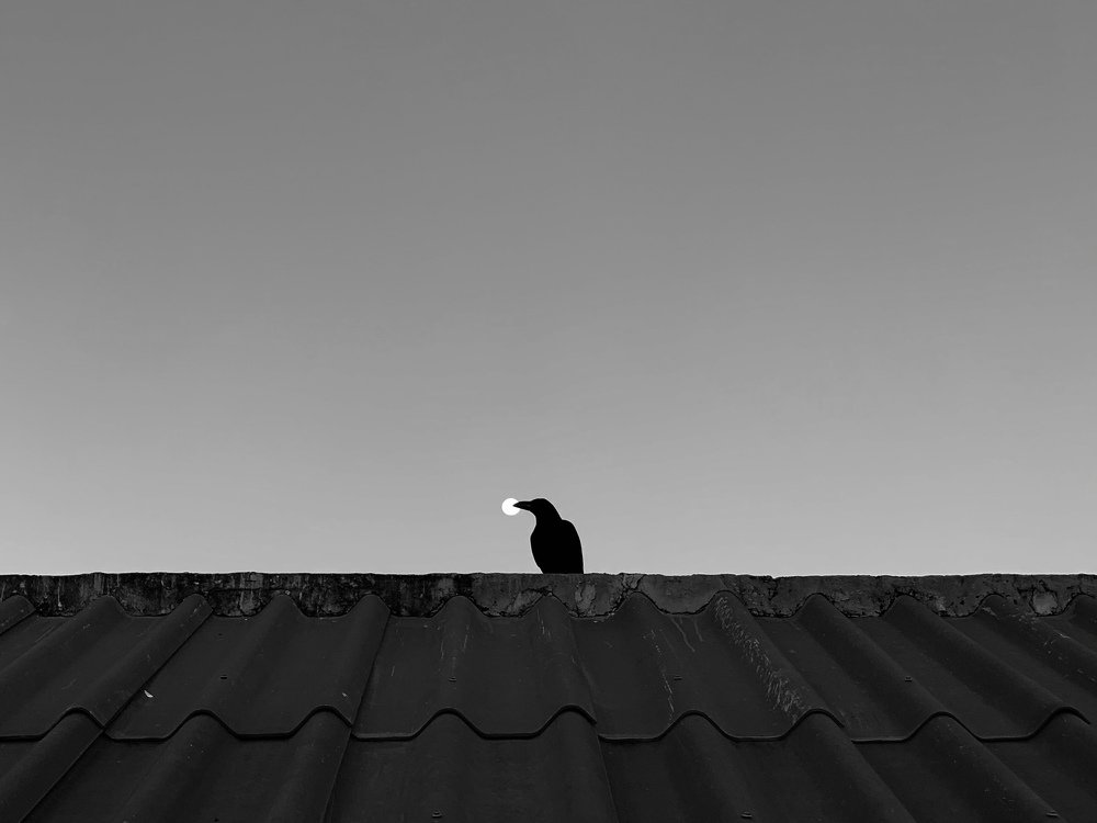 Photograph by Krid Karnsomdee