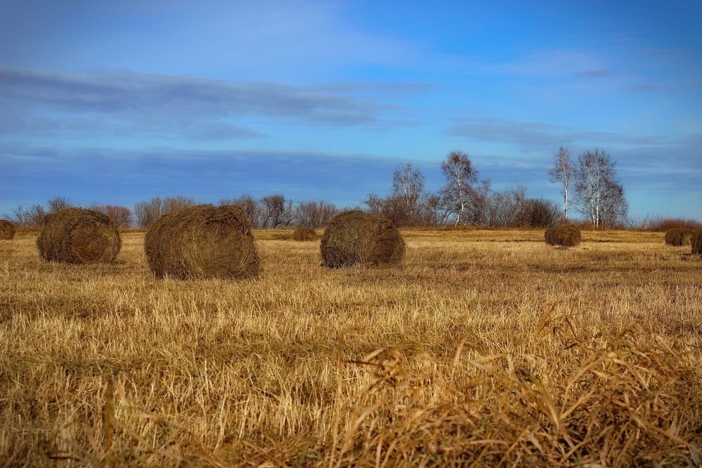 Photograph by Евгений Шульга