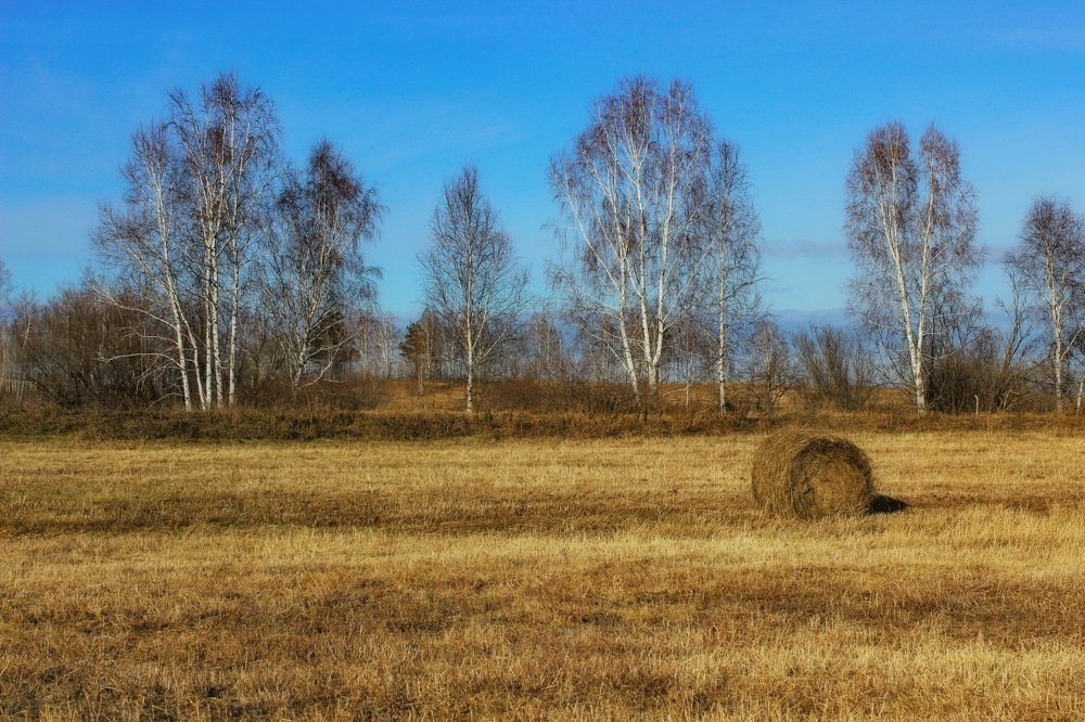 Photograph by Евгений Шульга
