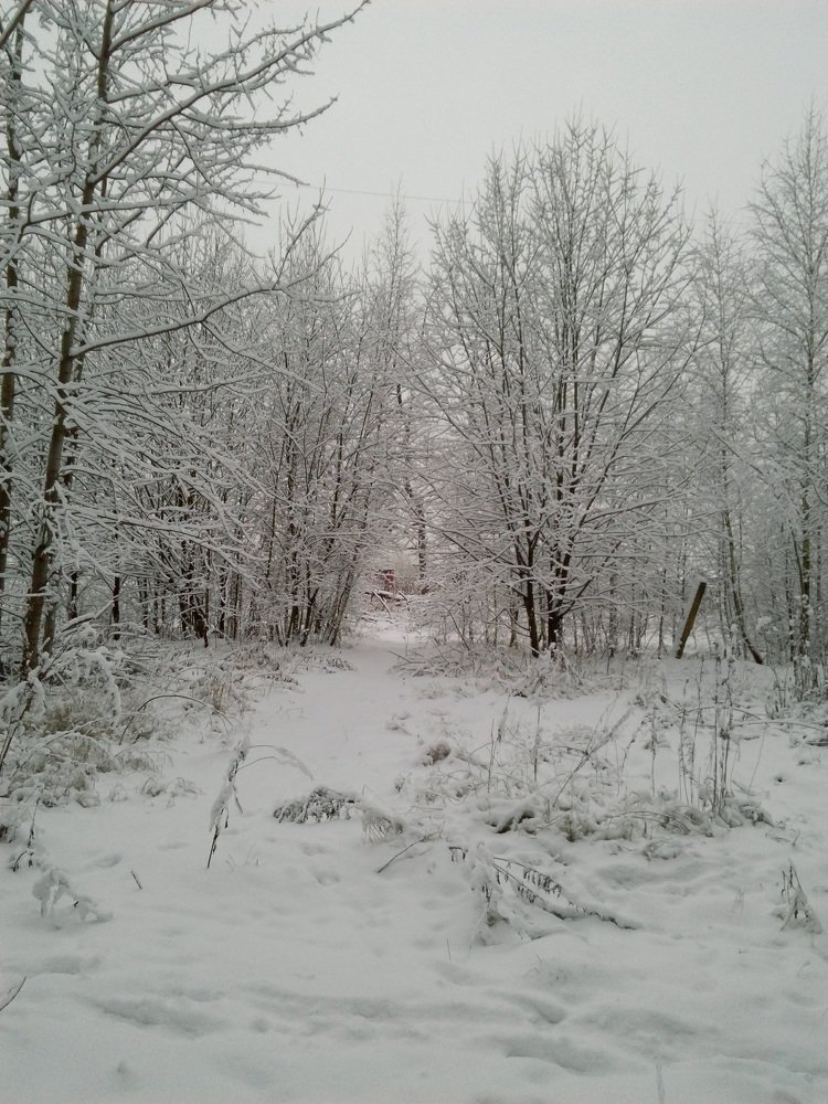 Photograph by Светлана Смердова