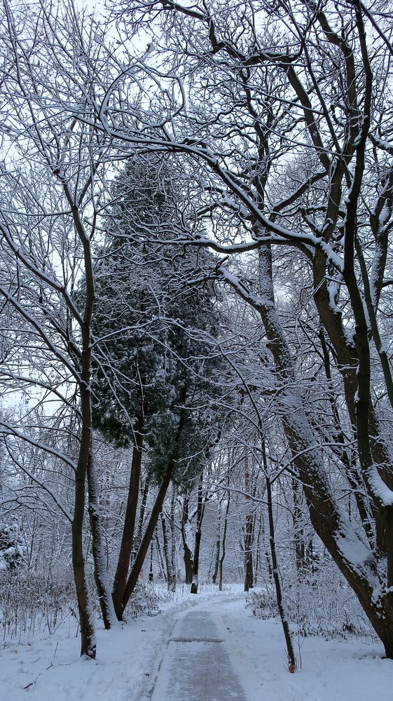 Photograph by Александр Бычков