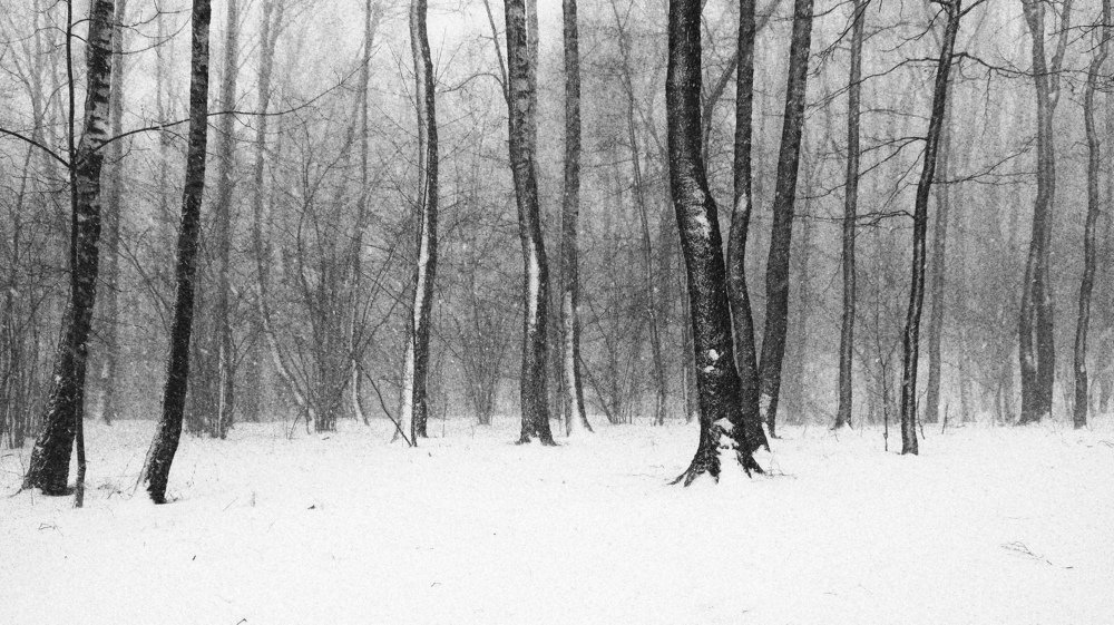 Photograph by Александр Бычков