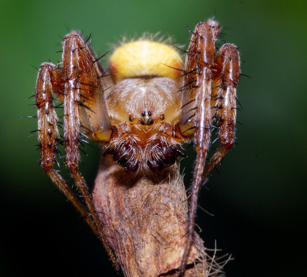 Photograph by Александр Шлюпиков