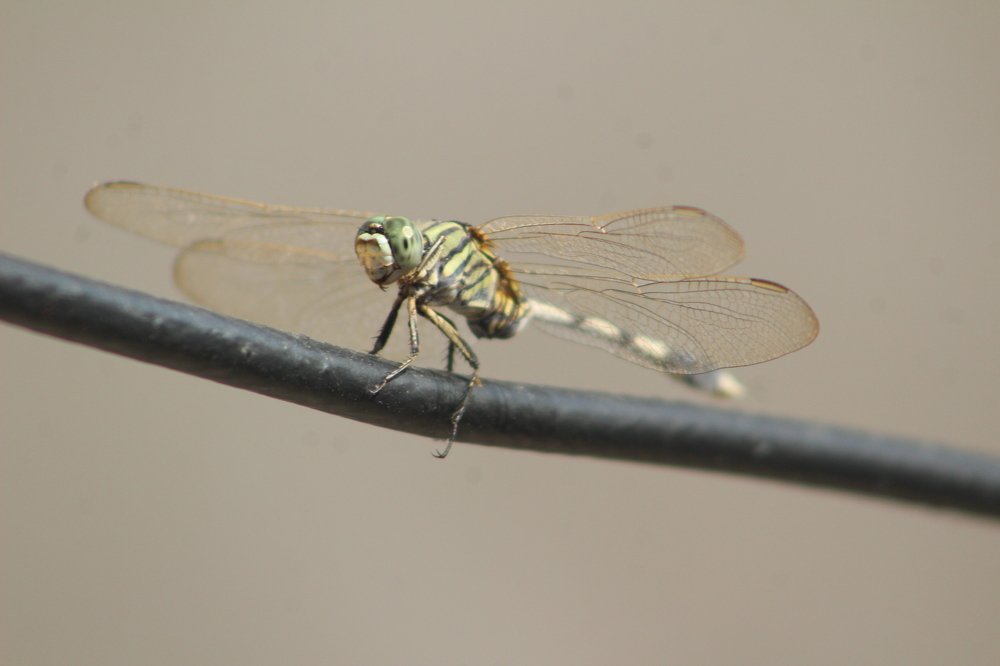 Photograph by Sarmad Sindhi