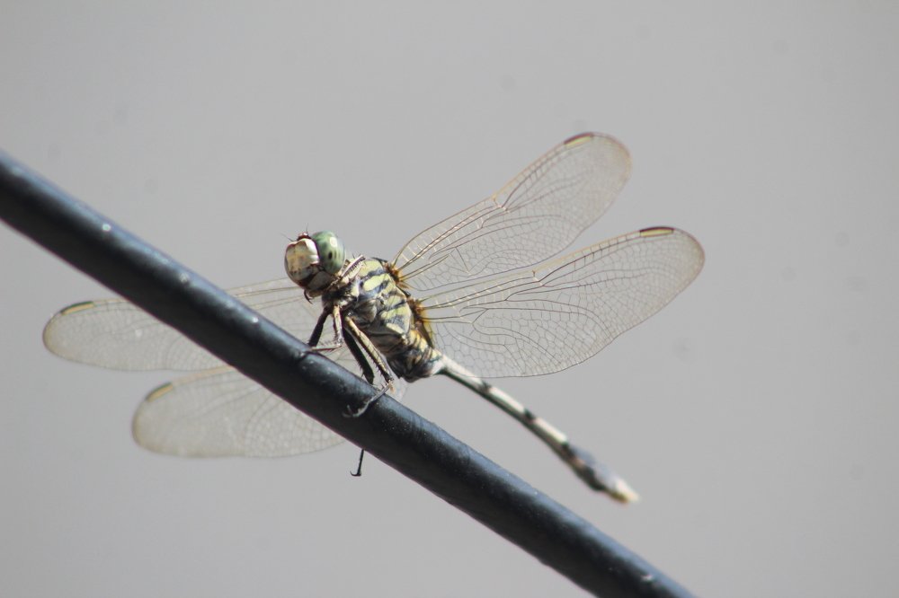 Photograph by Sarmad Sindhi