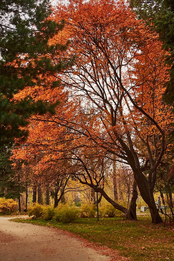 Photograph by Елена Ельцова