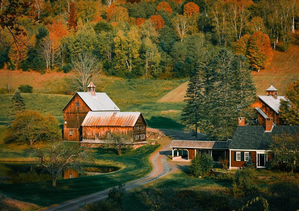 Photograph by Gargee Chowdhury