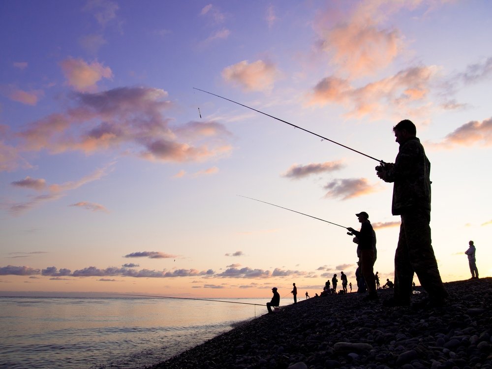 Photograph by Анна Бокарёва